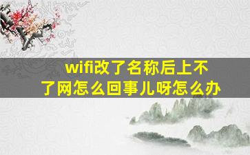 wifi改了名称后上不了网怎么回事儿呀怎么办