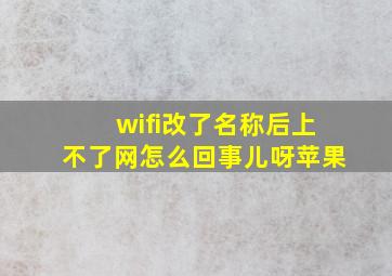 wifi改了名称后上不了网怎么回事儿呀苹果