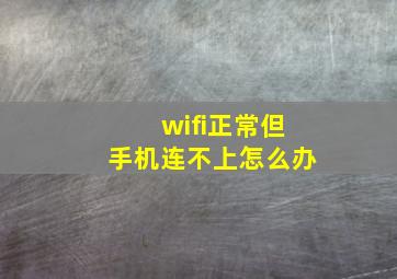 wifi正常但手机连不上怎么办