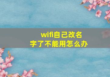 wifi自己改名字了不能用怎么办