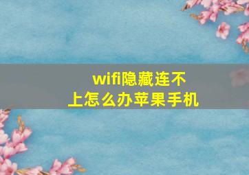 wifi隐藏连不上怎么办苹果手机