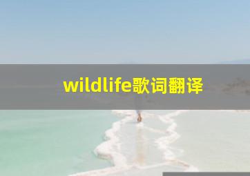 wildlife歌词翻译