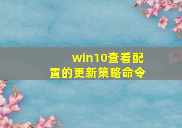 win10查看配置的更新策略命令