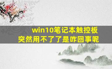 win10笔记本触控板突然用不了了是咋回事呢