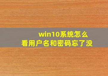 win10系统怎么看用户名和密码忘了没