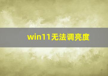 win11无法调亮度