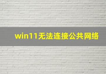 win11无法连接公共网络