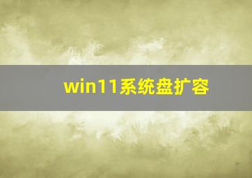 win11系统盘扩容