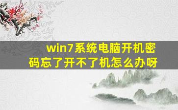 win7系统电脑开机密码忘了开不了机怎么办呀