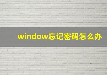 window忘记密码怎么办