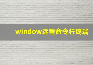 window远程命令行终端