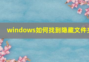 windows如何找到隐藏文件夹