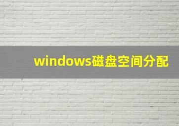 windows磁盘空间分配