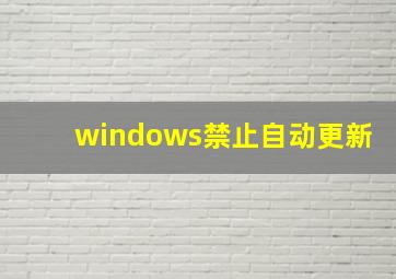 windows禁止自动更新