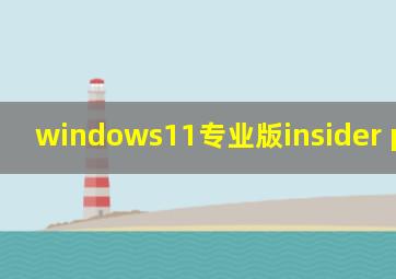 windows11专业版insider preview