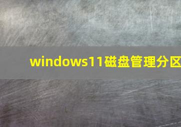 windows11磁盘管理分区