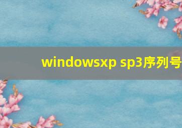 windowsxp sp3序列号