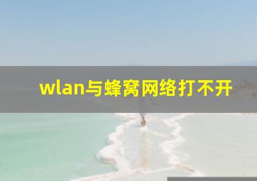 wlan与蜂窝网络打不开