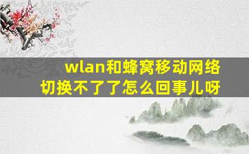 wlan和蜂窝移动网络切换不了了怎么回事儿呀