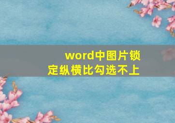 word中图片锁定纵横比勾选不上