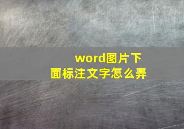 word图片下面标注文字怎么弄