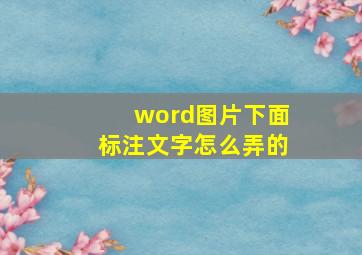 word图片下面标注文字怎么弄的