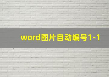 word图片自动编号1-1