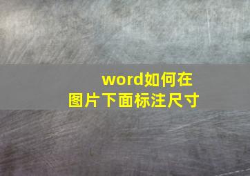 word如何在图片下面标注尺寸