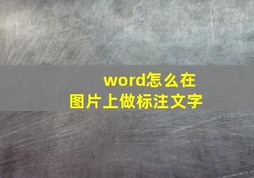 word怎么在图片上做标注文字