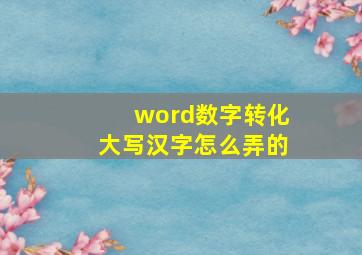 word数字转化大写汉字怎么弄的