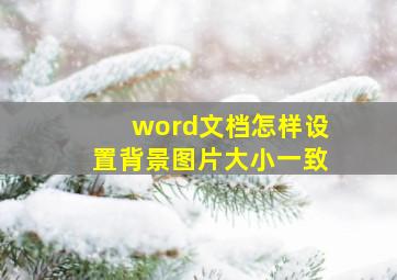 word文档怎样设置背景图片大小一致