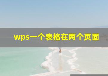 wps一个表格在两个页面