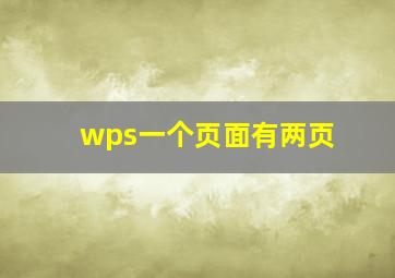 wps一个页面有两页