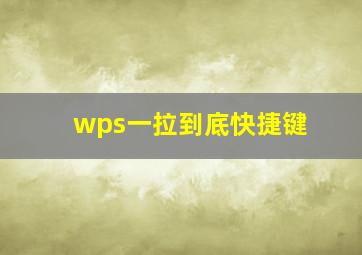 wps一拉到底快捷键