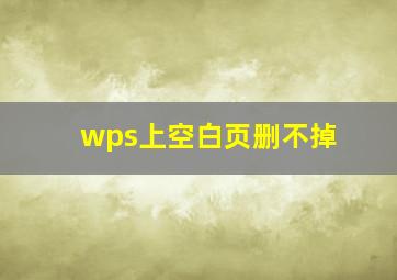 wps上空白页删不掉