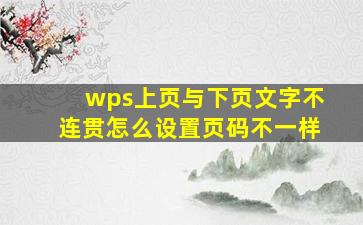 wps上页与下页文字不连贯怎么设置页码不一样