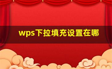 wps下拉填充设置在哪