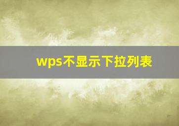 wps不显示下拉列表