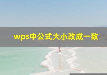 wps中公式大小改成一致