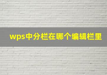 wps中分栏在哪个编辑栏里