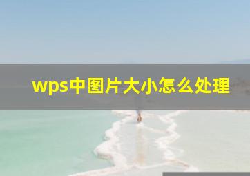 wps中图片大小怎么处理