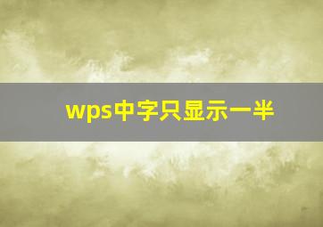 wps中字只显示一半