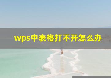 wps中表格打不开怎么办