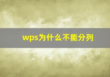 wps为什么不能分列