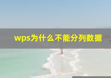 wps为什么不能分列数据