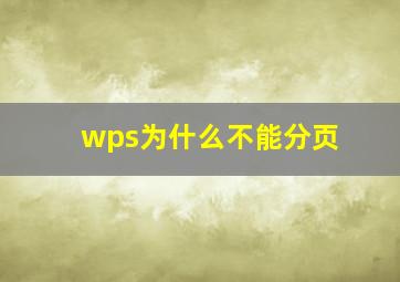 wps为什么不能分页