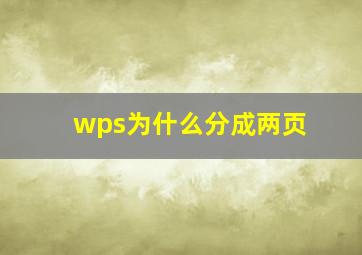 wps为什么分成两页