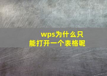 wps为什么只能打开一个表格呢