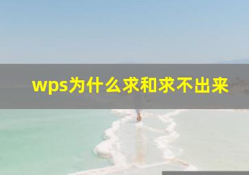 wps为什么求和求不出来