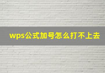 wps公式加号怎么打不上去